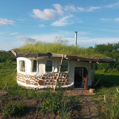 Сказочный Дом Vila Buki  Exterior foto